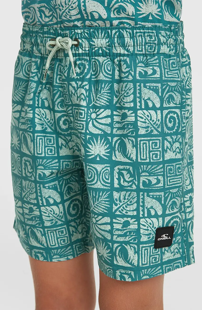 Short de bain O'Neill Print | Blue Bricks
