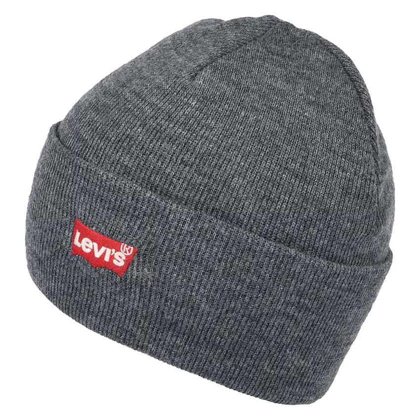 Bonnet Long Red Batwing Embroidery gris LEVI'S