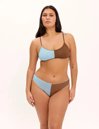 Mesh Two-Tone Bikini Brief - Culottes et slips